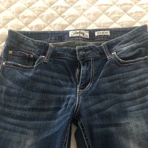 Buckle Daytrip Bootcut Jeans
